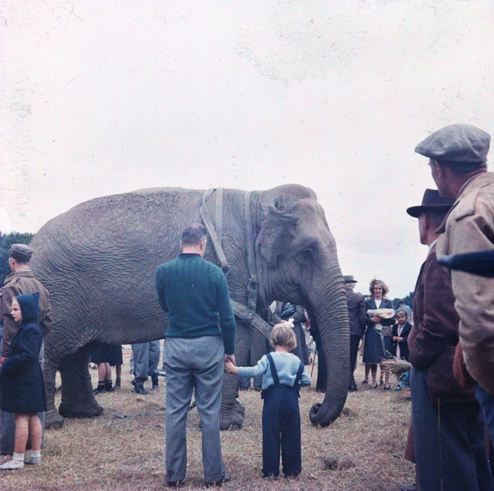 38 - W12 (no label).jpg - 38 - W12 (no label)